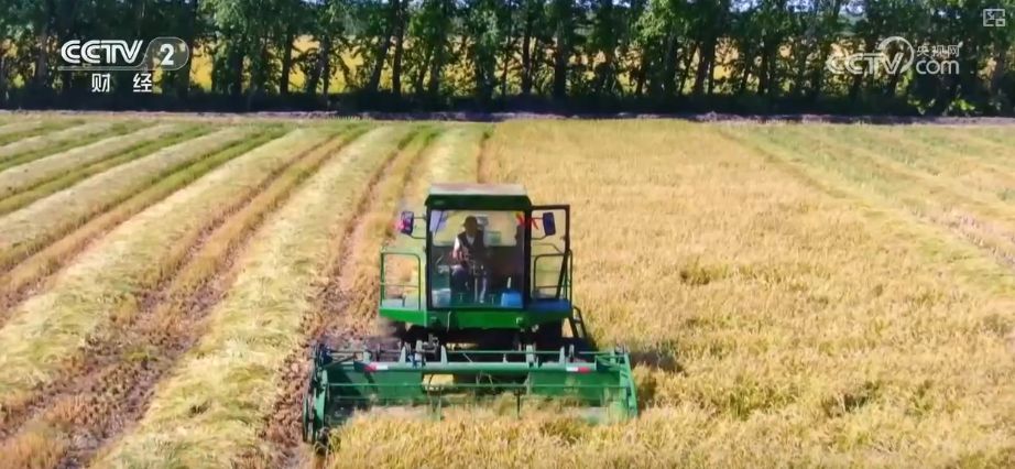 金秋好“丰”景有“智”又有“质” “智慧农业”成农民“靠地生